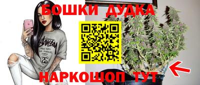 кокс Можайск