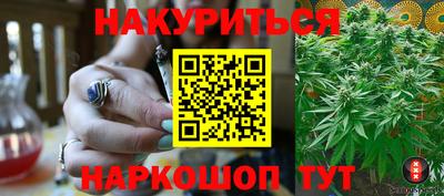 прущие грибы Моздок