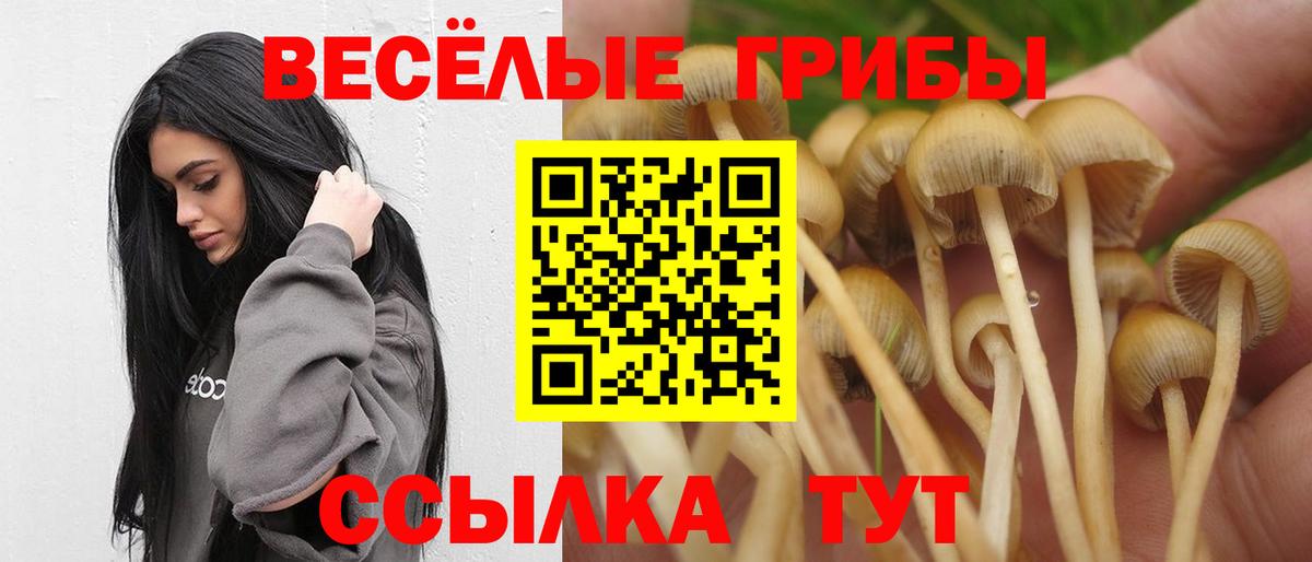 Галлюциногенные грибы Psilocybe  Вход с VPN  Скопин 